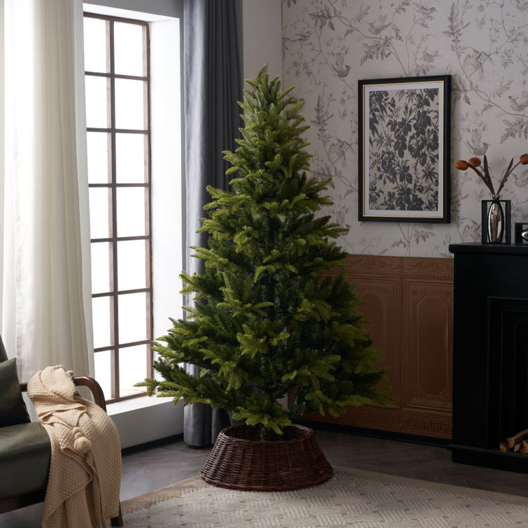 The Seasonal Aisle Lighted Green Calgary Artificial Christmas Tree With